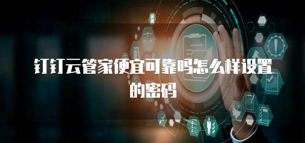 钉钉云管家便宜可靠吗怎么样设置的密码