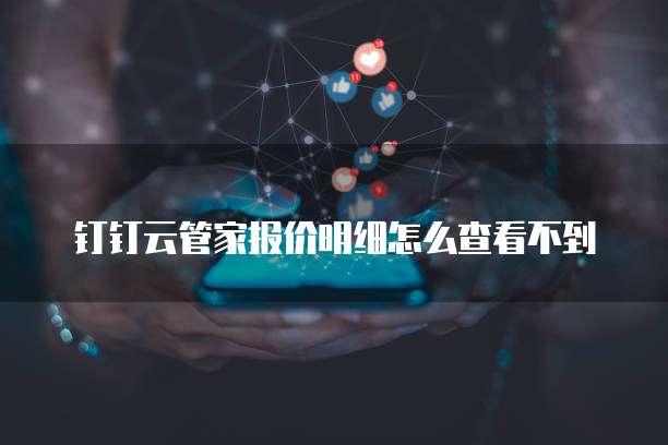 钉钉云管家报价明细怎么查看不到