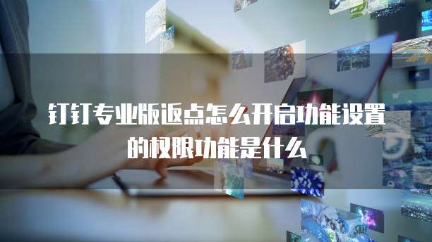 钉钉专业版返点怎么开启功能设置的权限功能是什么