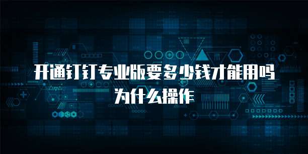 开通钉钉专业版要多少钱才能用吗为什么操作