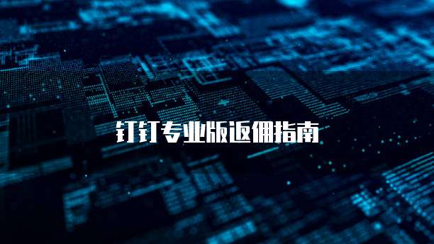 钉钉专业版返佣指南