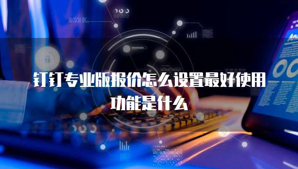 钉钉专业版报价怎么设置最好使用功能是什么