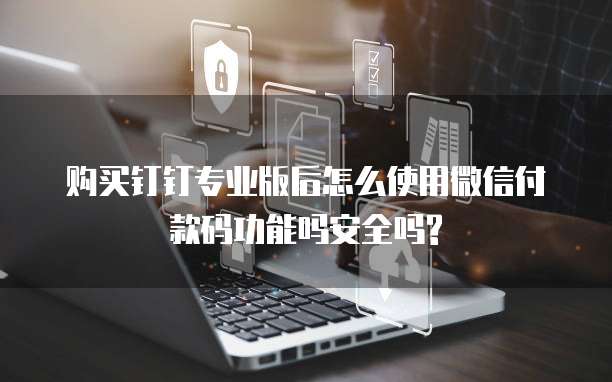 购买钉钉专业版后怎么使用微信付款码功能吗安全吗?