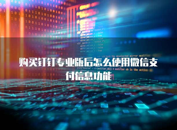 购买钉钉专业版后怎么使用微信支付信息功能