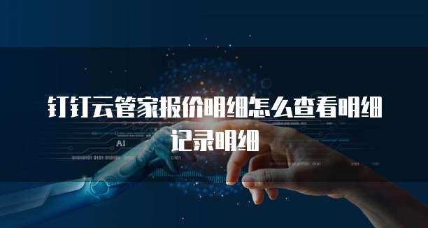 钉钉云管家报价明细怎么查看明细记录明细