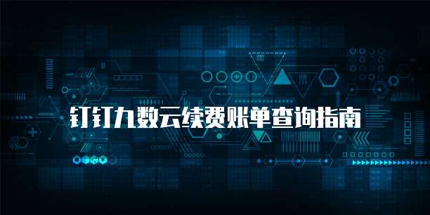 钉钉九数云续费账单查询指南