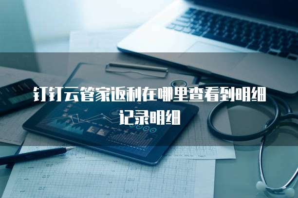 钉钉云管家返利在哪里查看到明细记录明细