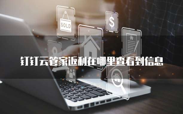 钉钉云管家返利在哪里查看到信息