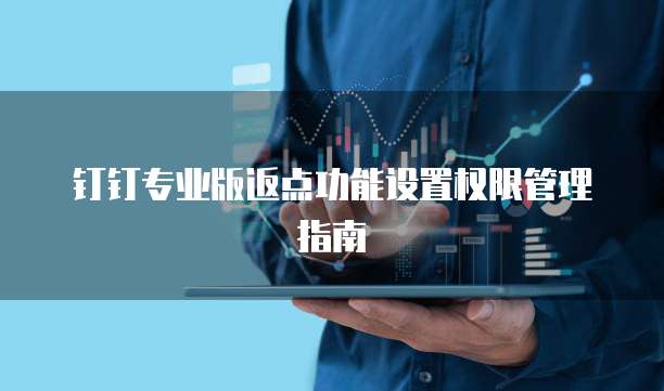 钉钉专业版返点功能设置权限管理指南
