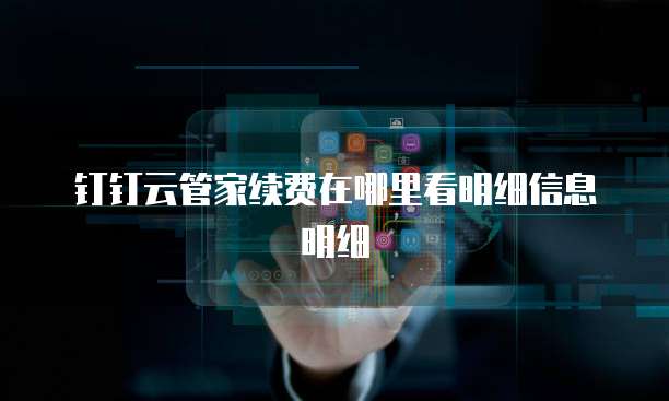 钉钉云管家续费在哪里看明细信息明细
