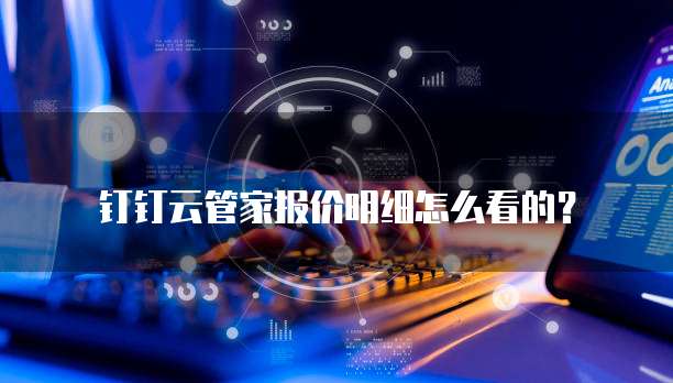 钉钉云管家报价明细怎么看的?