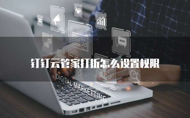 钉钉云管家打折怎么设置权限