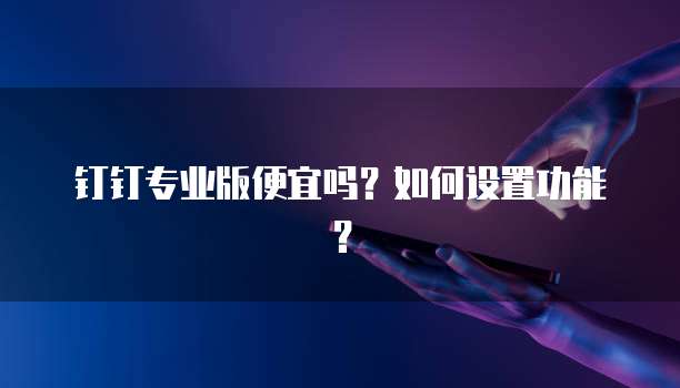 钉钉专业版便宜吗?如何设置功能?