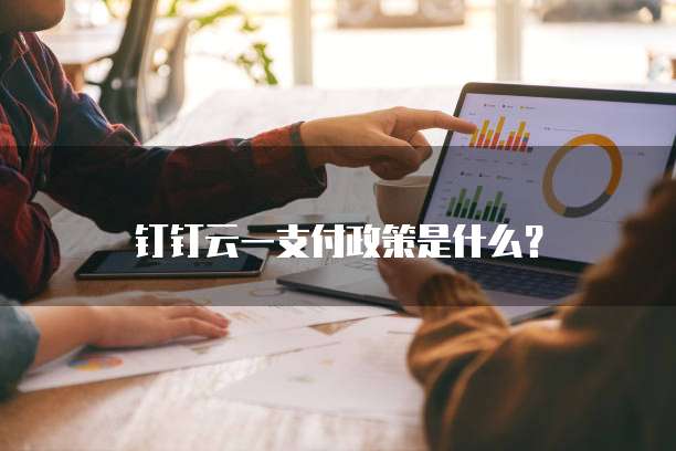 钉钉云一支付政策是什么?