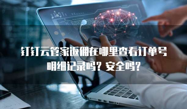 钉钉云管家返佣在哪里查看订单号明细记录吗?安全吗?