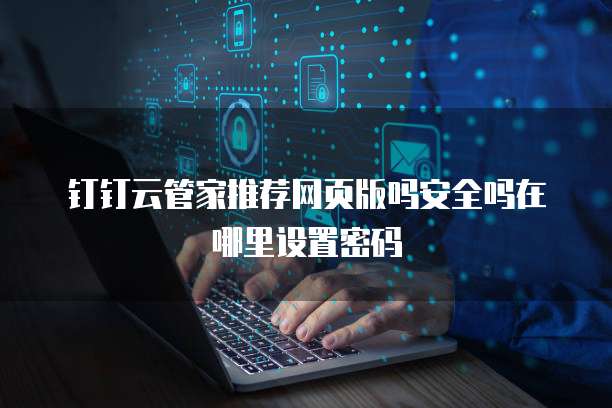 钉钉云管家推荐网页版吗安全吗在哪里设置密码
