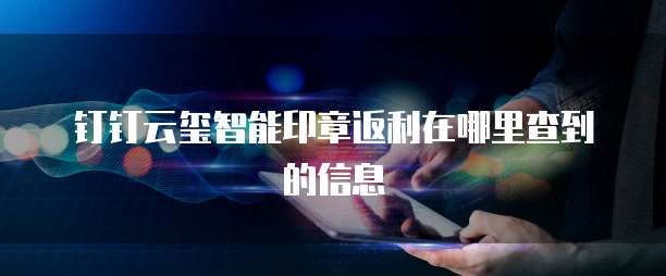 钉钉云玺智能印章返利在哪里查到的信息