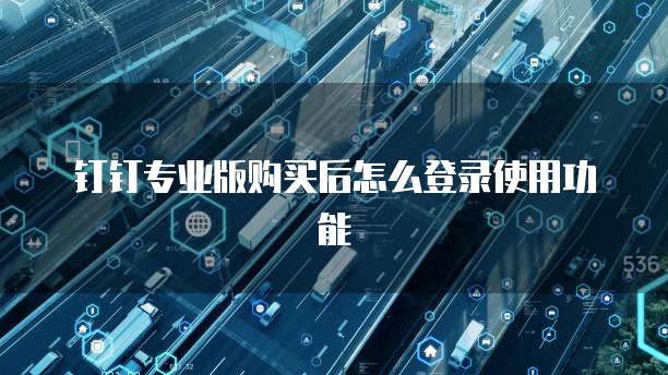 钉钉专业版购买后怎么登录使用功能