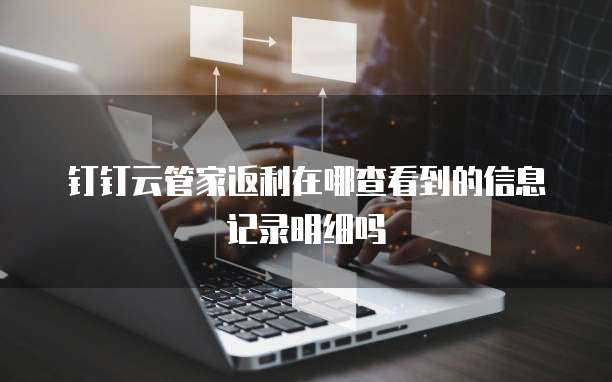 钉钉云管家返利在哪查看到的信息记录明细吗