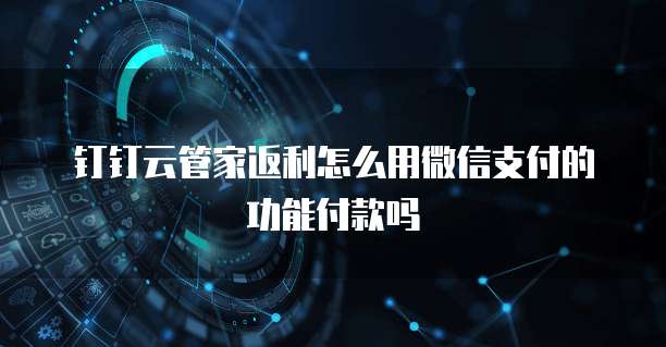 钉钉云管家返利怎么用微信支付的功能付款吗