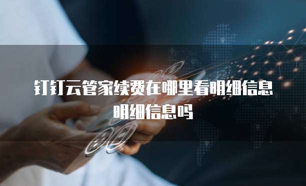 钉钉云管家续费在哪里看明细信息明细信息吗