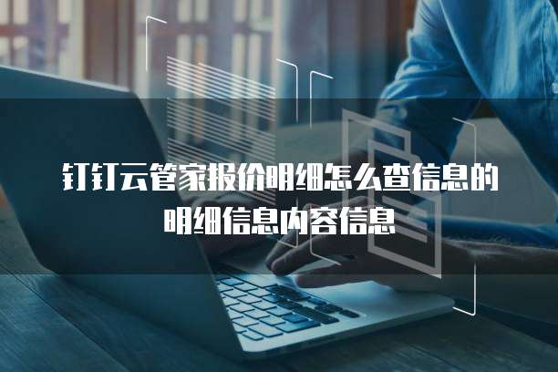 钉钉云管家报价明细怎么查信息的明细信息内容信息