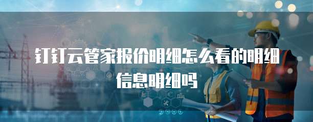 钉钉云管家报价明细怎么看的明细信息明细吗