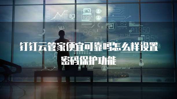 钉钉云管家便宜可靠吗怎么样设置密码保护功能