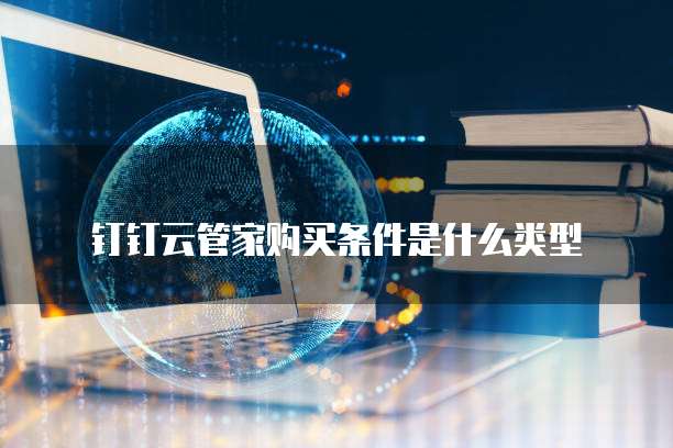 钉钉云管家购买条件是什么类型