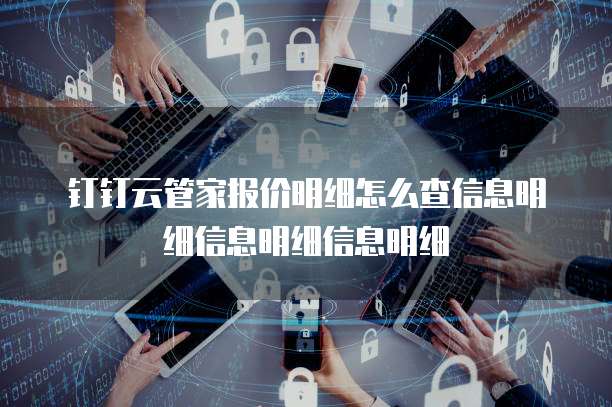 钉钉云管家报价明细怎么查信息明细信息明细信息明细