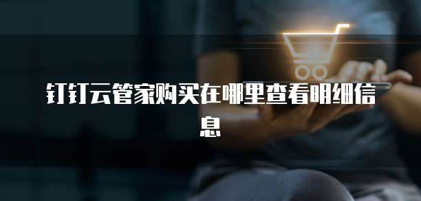 钉钉云管家购买在哪里查看明细信息