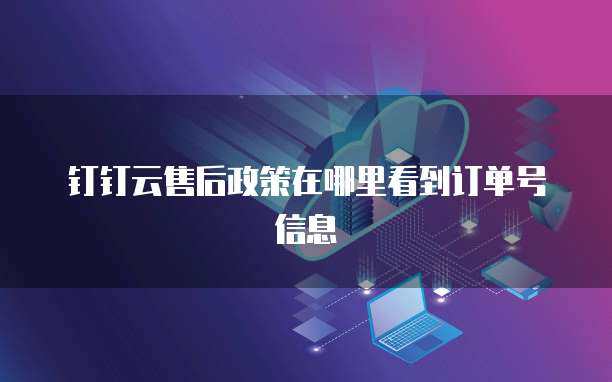 钉钉云售后政策在哪里看到订单号信息