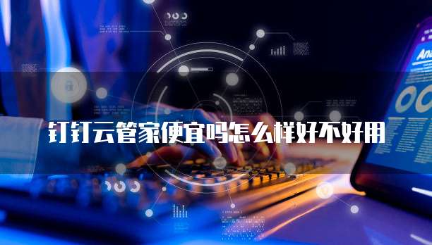 钉钉云管家便宜吗怎么样好不好用