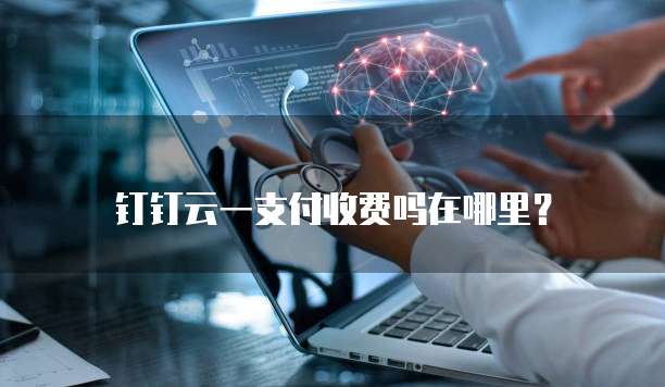 钉钉云一支付收费吗在哪里?