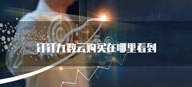 钉钉九数云购买在哪里看到