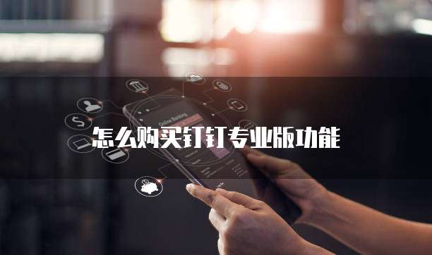 怎么购买钉钉专业版功能
