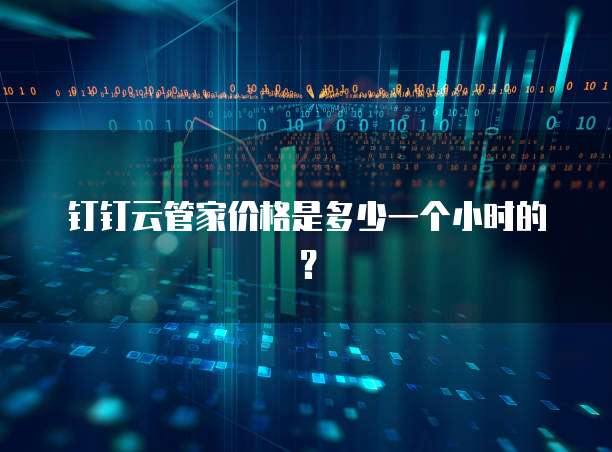 钉钉云管家价格是多少一个小时的?