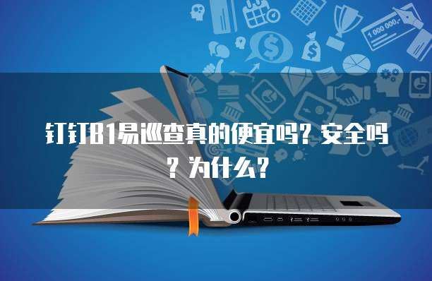 钉钉B1易巡查真的便宜吗？安全吗？为什么？