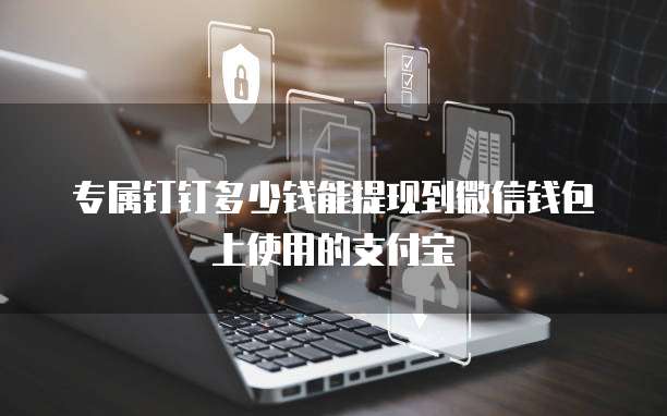专属钉钉多少钱能提现到微信钱包上使用的支付宝
