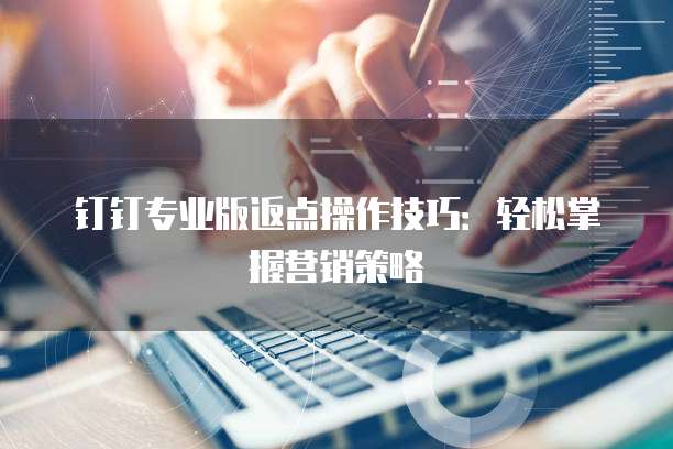 钉钉专业版返点操作技巧:轻松掌握营销策略
