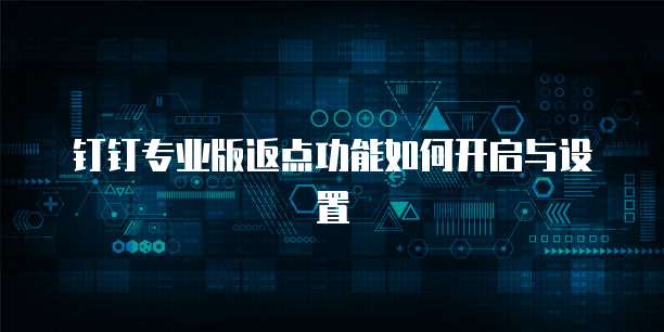 钉钉专业版返点功能如何开启与设置