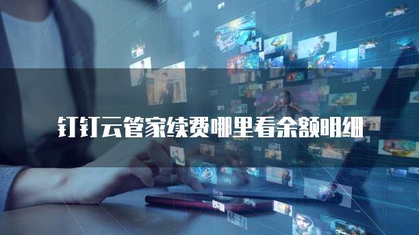 钉钉云管家续费哪里看余额明细