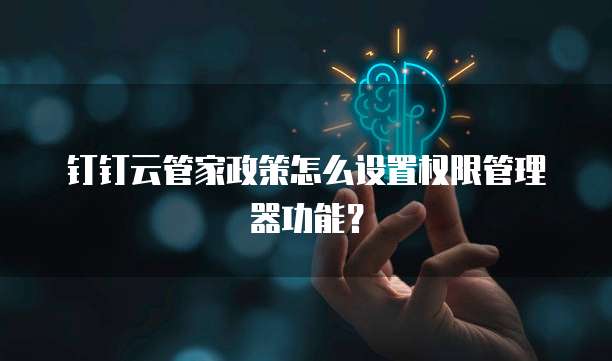 钉钉云管家政策怎么设置权限管理器功能?