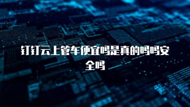 钉钉云上管车便宜吗是真的吗吗安全吗