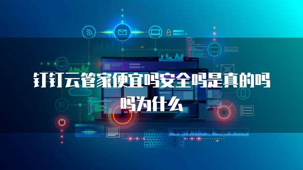 钉钉云管家便宜吗安全吗是真的吗吗为什么