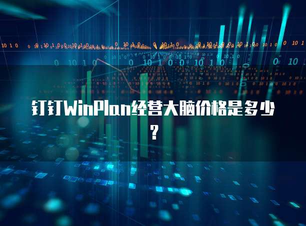 钉钉WinPlan经营大脑价格是多少？