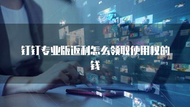 钉钉专业版返利怎么领取使用权的钱