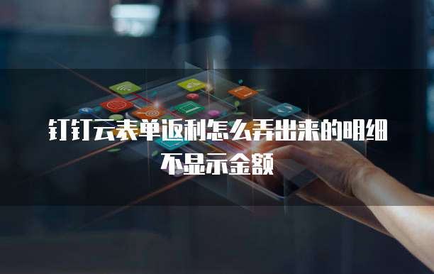 钉钉云表单返利怎么弄出来的明细不显示金额