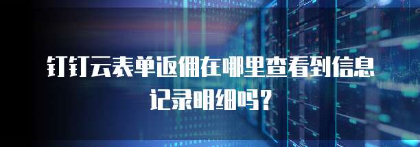 钉钉云表单返佣在哪里查看到信息记录明细吗?