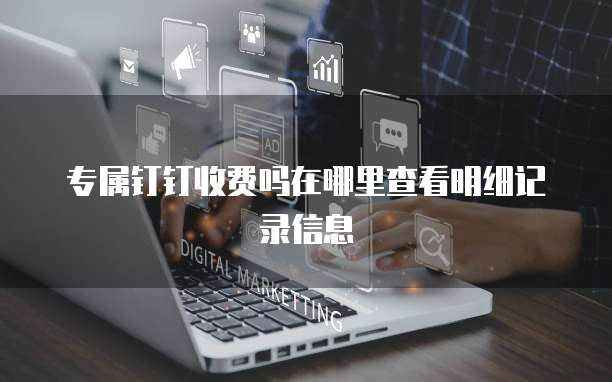 专属钉钉收费吗在哪里查看明细记录信息
